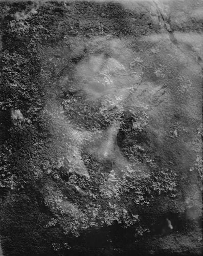 Untitled Gelatin Silver Print
