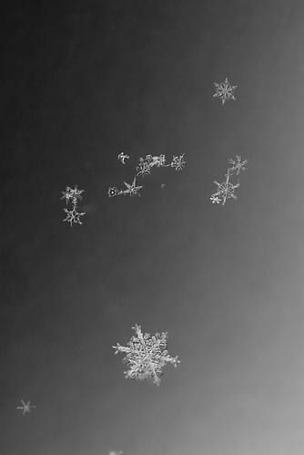 Yuji Obata. Homage #5.  23.5 x 16.5 inch pigment print.