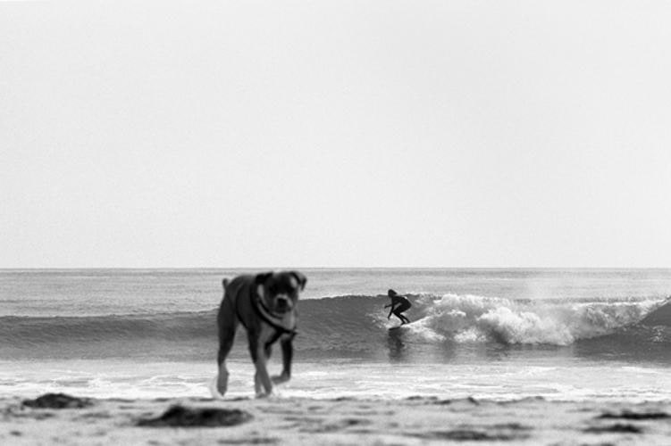 Kyle and Dog, 2013, 	16 x 24 inch pigment print