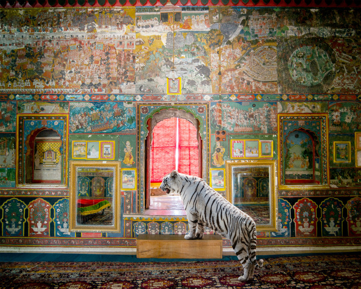 Guarding Honour, Kota City Palace, Kota, 2020, 23.5 x 30 inch pigment print - Edition of 5
