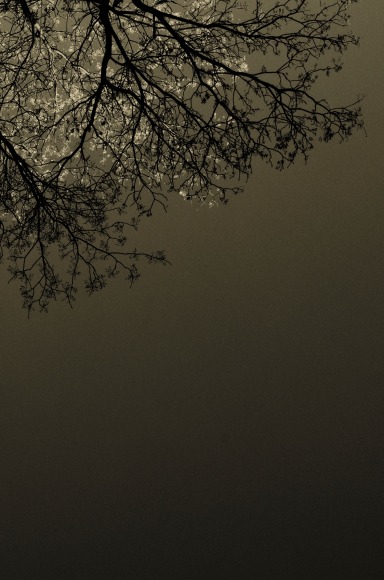 Summa, 2019, 15.4&nbsp;x 11&nbsp;inches