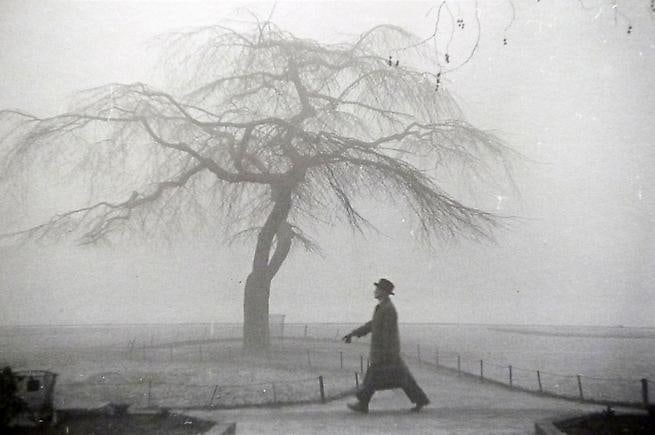 London, 1950.