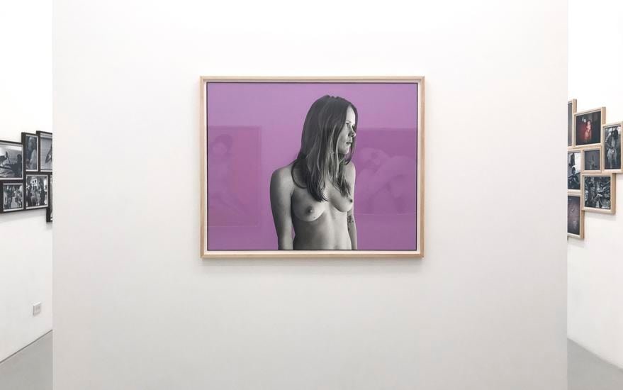 Lucy, Lavender. 2017, 	45 x 36 inches