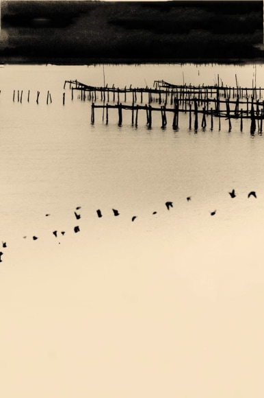 Matsushima Day 3, 2019, 15.4&nbsp;x 11&nbsp;inches