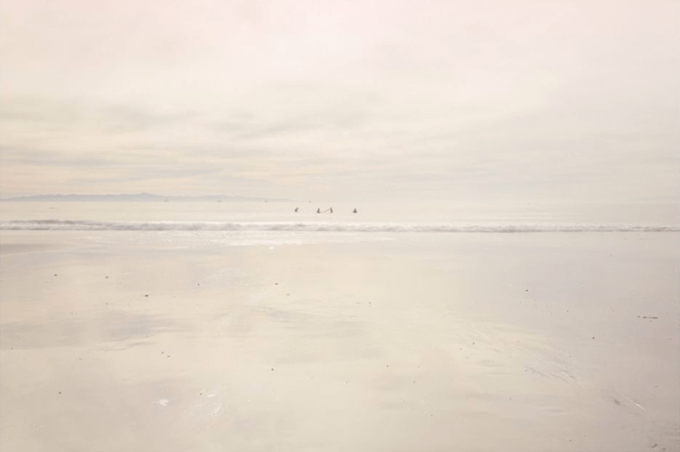 Santa Barbara, 2014