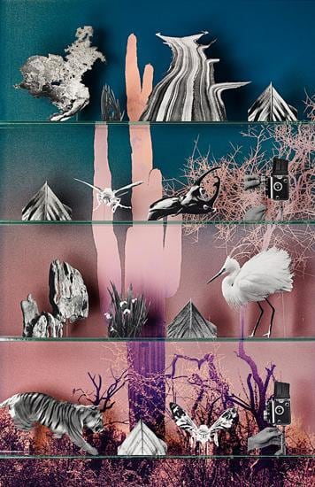 Nature, 2013, 	61.5 x 40 inch C-print