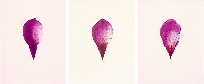  Mary of Silence, 	June 2011