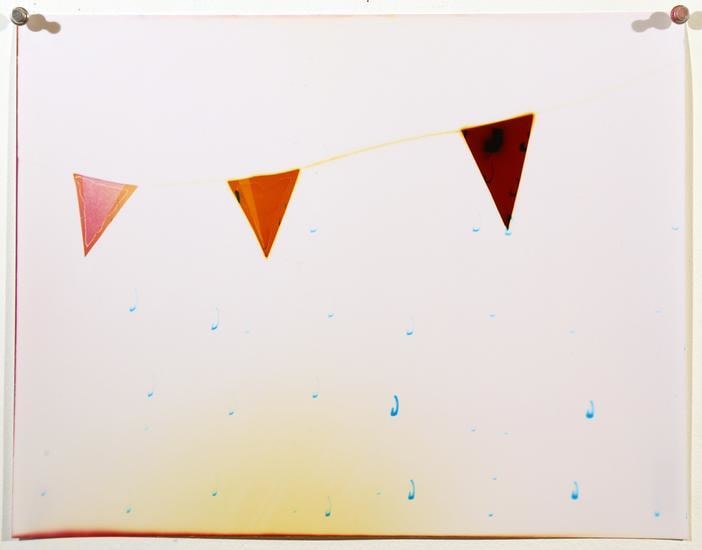 Flags 3, 2016, 	Analog Chromogenic Photo, Unique