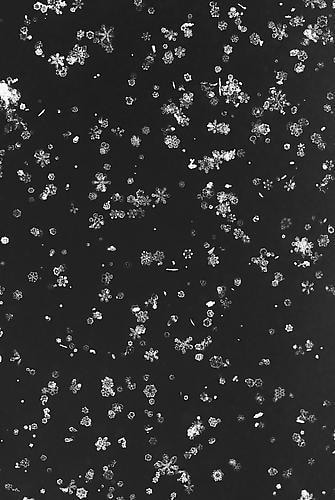 Yuji Obata. Homage #1.  23.5 x 16.5 inch pigment print.