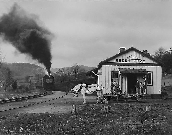 Maud bows to the Virginia Creeper, 1956