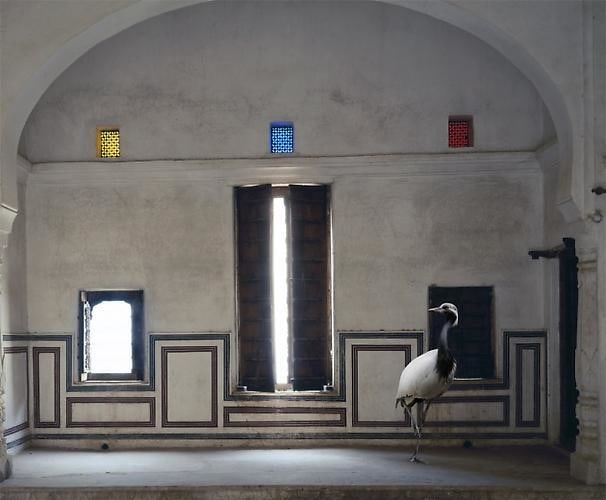 Light of the World, Zanana, Nawalgarh.