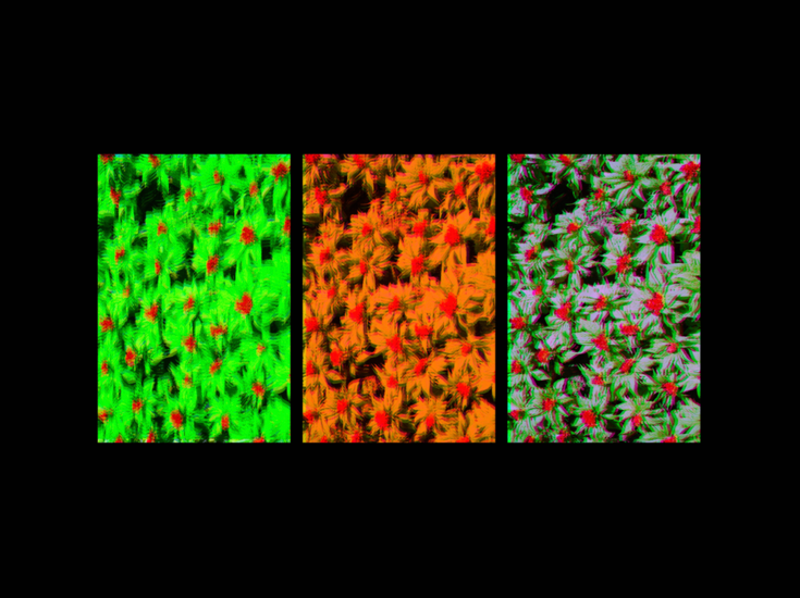  Chau Tran, 	Untitled, 2017&nbsp;