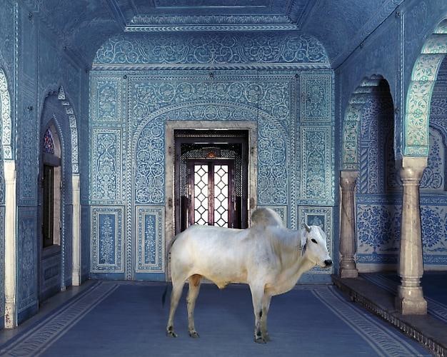 The Gatekeeper, Zanana, Samode Palace.