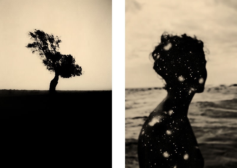 Paul Cupido, Yumemiru &amp;amp; Suave Diptych, 2016