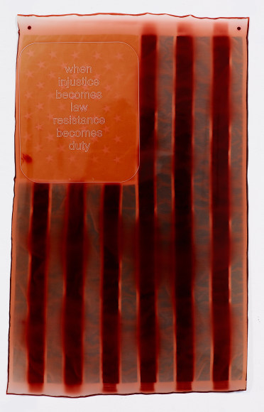 Compound Flag: Smoggy Justice, 2018&nbsp;, 38 1/2 x 24 inches&nbsp;