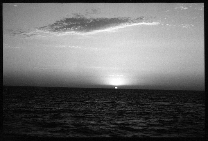 Ed Templeton , Sunset (How Typical), Huntington Beach. 2007 