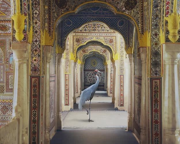 The Holding of Vigilance, Samode Palace.