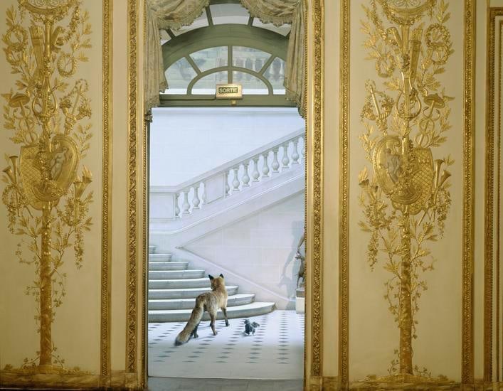 Ledoux's Reception, 2004, 	32 x 40 inch archival pigment print