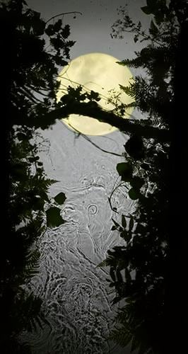 Yellow Moon. 2012, 	Digital C-Type Print. 24 x 12.5"