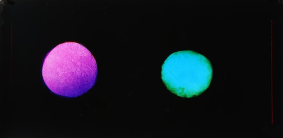 Double Moons (Michael and Alan), 2016, 	Analog Chromogenic Photo, Unique