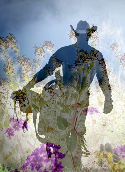 Western Double Exposure, 2020 , Variable size c-prints