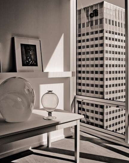 Moss 20 x 16 inch archival pigment print