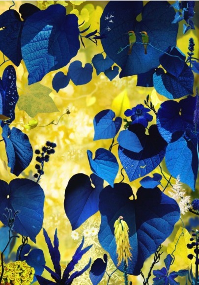 Floresta #6, 2019, 59 x 42 inxches