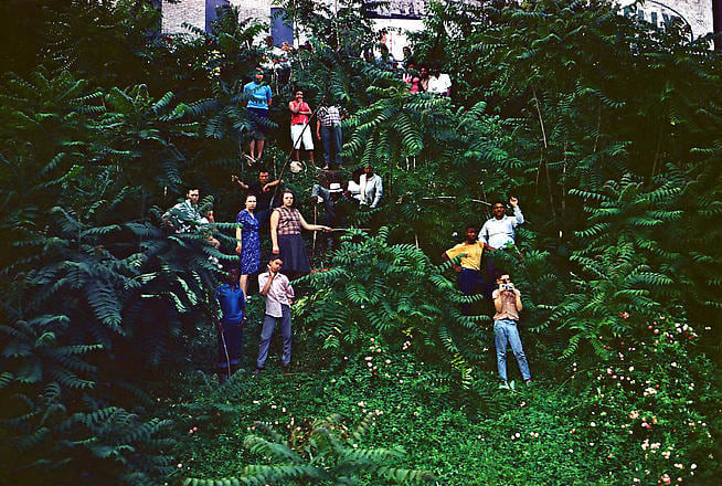 Untitled from RFK Funeral Train Rediscovered,