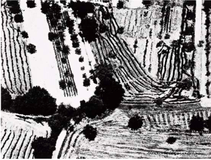 MARIO GIACOMELLI, Presa di Coscienza Sulla Natura (Epiphany about Nature #45) 1978.