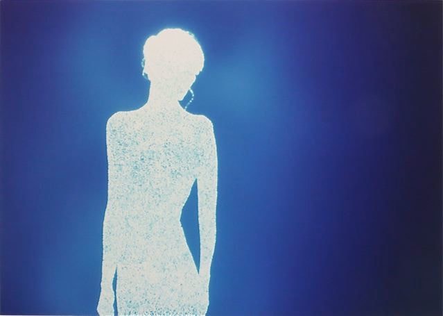 ANIMA 7. 2009.  UNIQUE CIBACHROME PRINT.  40 X 60 INCHES.