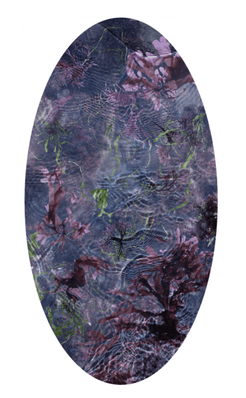Tide Poool 30, 2015 , 48 x 25 inches