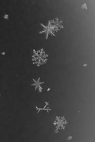 Yuji Obata. Homage #7.  23.5 x 16.5 inch pigment print.