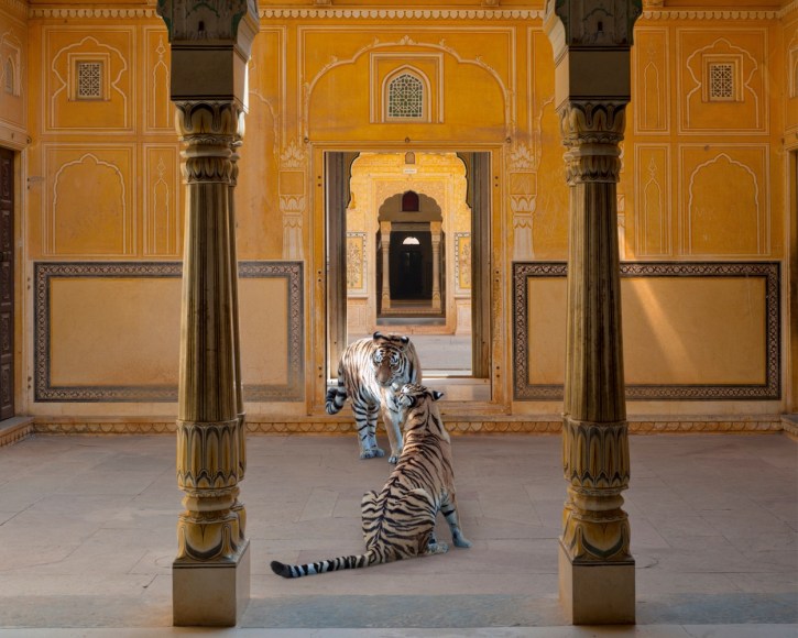 The Arrow of Kama, Nahargarh Fort, Jaipur, Archival pigment print