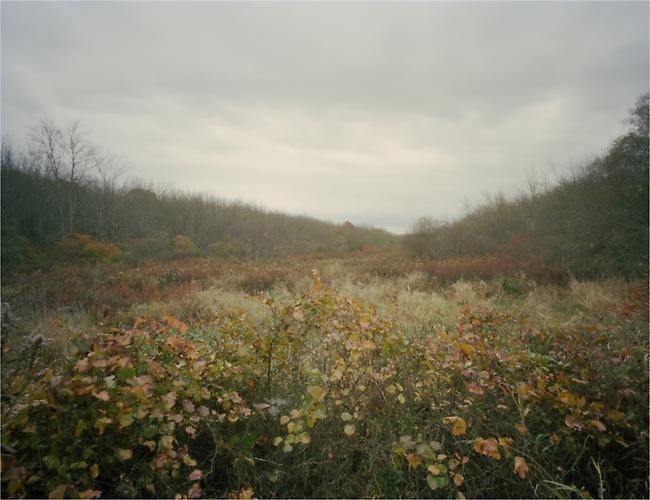 Isaac Wingfield. Untitled from the series Searching for Home.  2009.  Archival pigment print.  4 x 5 inches.