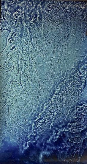 River Taw.  1998 - 1999