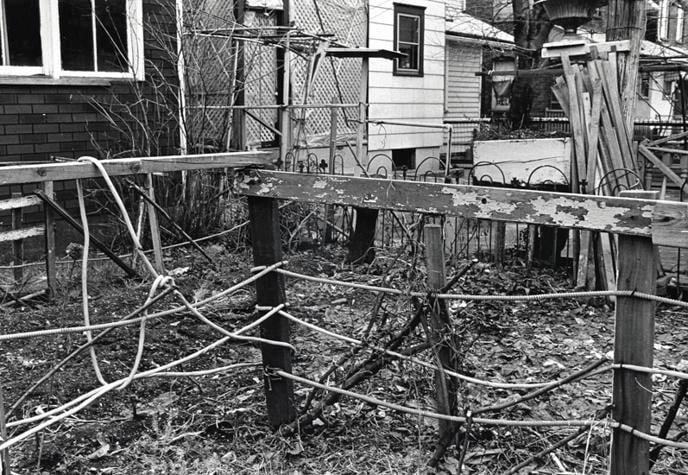 Untitled. 1974.