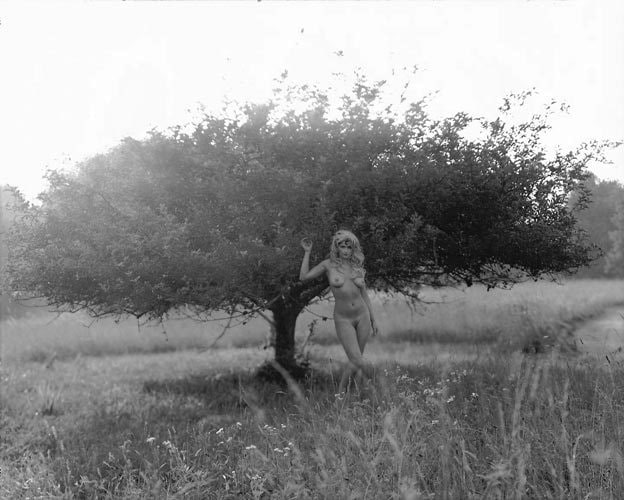 Untitled Gelatin Silver Print