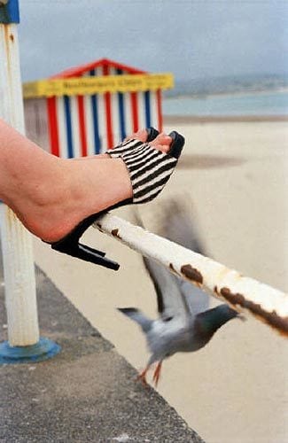 Advert (Sonia/Sonia Rykiel), 2005