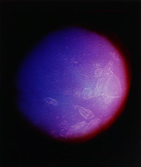 Blush Moons (Marca), 2016, 	Analog Chromogenic Photo, Unique
