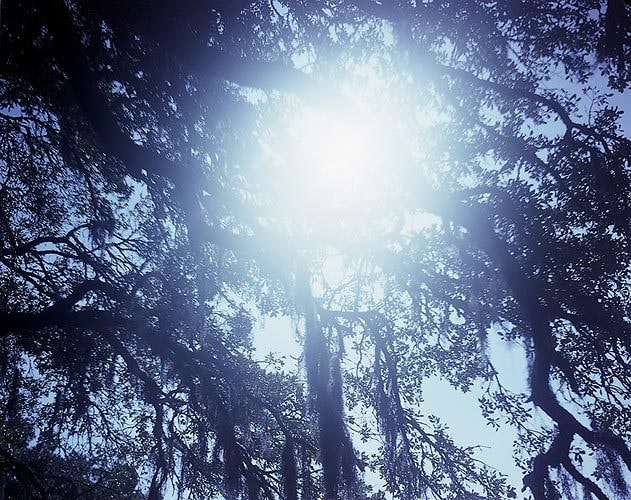 Untitled, 2004 C-print