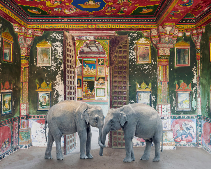 Friends in Need, Juna Mahal, Dungarpur Palace, 2020, Archival pigment print