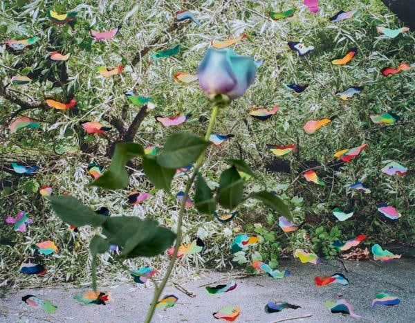  Ye Weon Mary Kim&nbsp;, 	Blue Rose, 2016