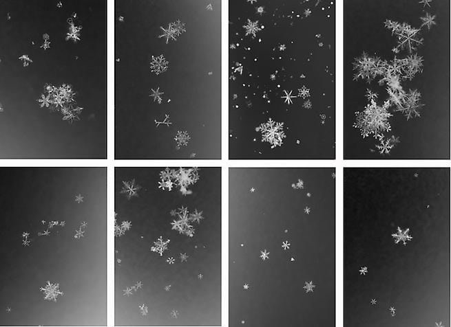 Yuji Obata. Homage to Wilson A. Bentley, 2005-2006.