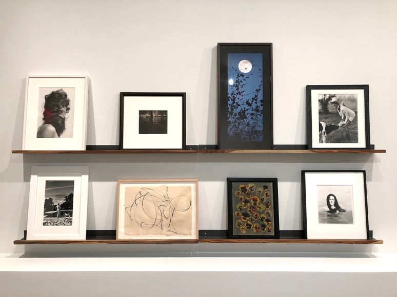 Top Row: Herbert Matter, Edward Steichen, Susan Derges, Bruce Weber, Bottom Row: Helmut Newton, Elliott Puckette, Adam Fuss, Harry Callahan