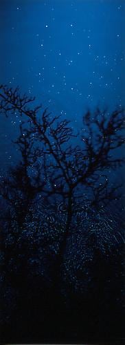 Susan Derges. Starfield - Hawthorn 2, 2004.