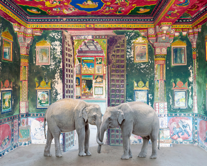 Karen Knorr , Friends in Need, Juna Mahal, Dungarpur Palace, 2020