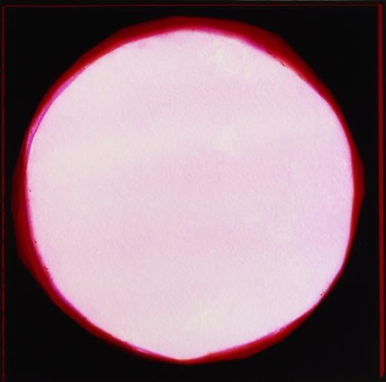 Blush Moons (Britta), 2016, 	Analog Chromogenic Photo, Unique