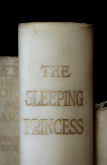 Mickey Smith , THE SLEEPING PRINCESS, 2023