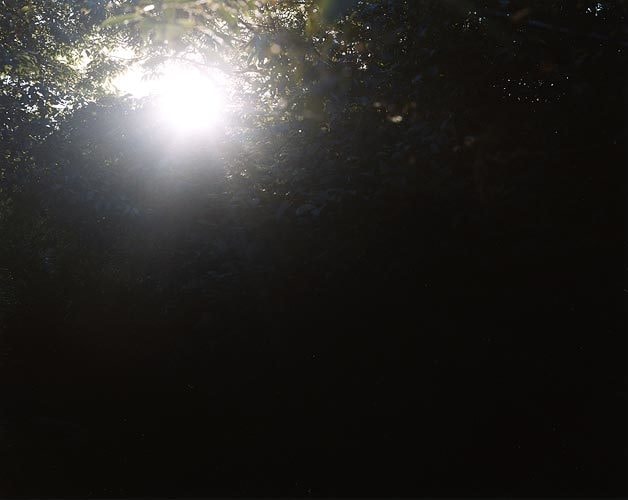 Untitled, 2004 C-print