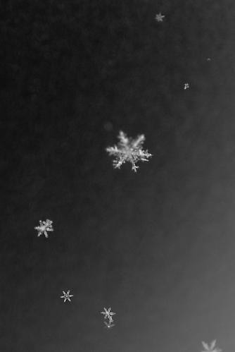 Yuji Obata. Homage #9.  23.5 x 16.5 inch pigment print.